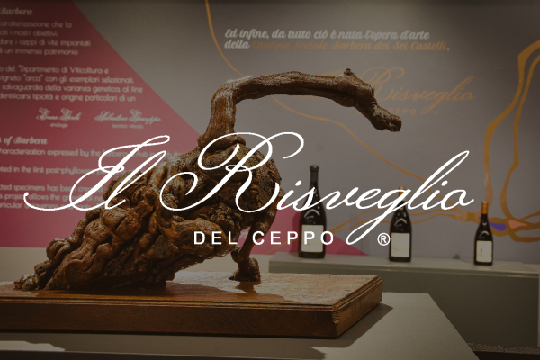 esperienza_Tavola disegno 1 copia 4